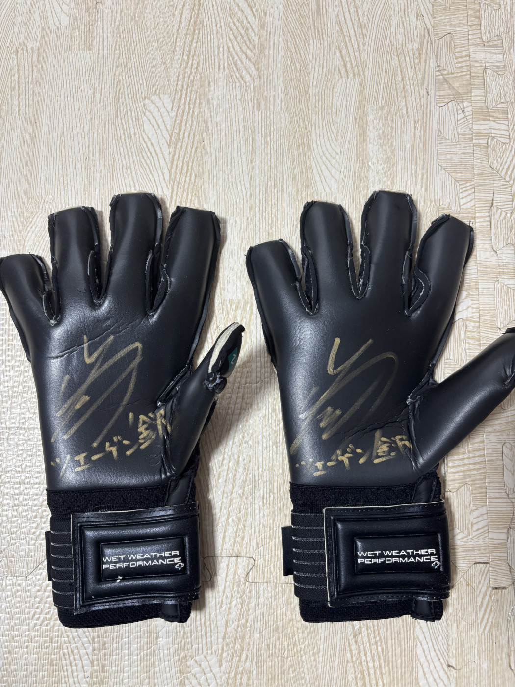 白井裕人選手サイン入り セルスグローブ(新品)プレゼント企画画像